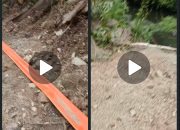 DARURAT! Tambang Ilegal di Salubanga Lumpuhkan Irigasi 3 Kecamatan, 8.000 Hektar Sawah di Sausu, Balinggi, dan Torue Terancam Gagal Panen