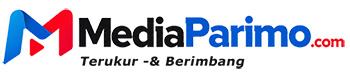MEDIAPARIMO.COM